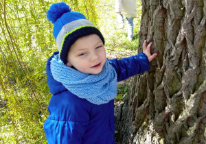 Chłopiec ogląda korę drzewa